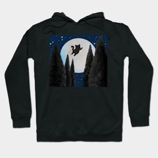 Flying space kitten Hoodie